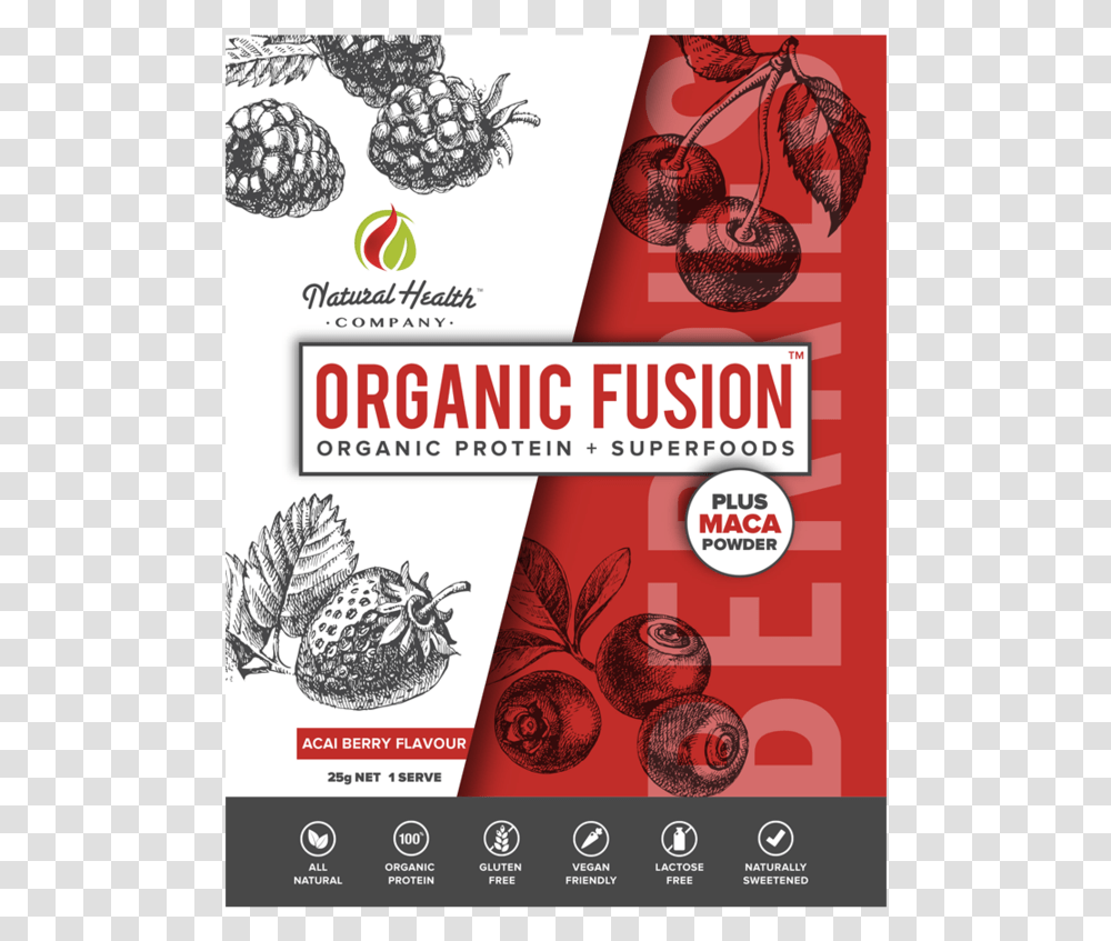 Flyer, Advertisement, Poster, Paper, Brochure Transparent Png