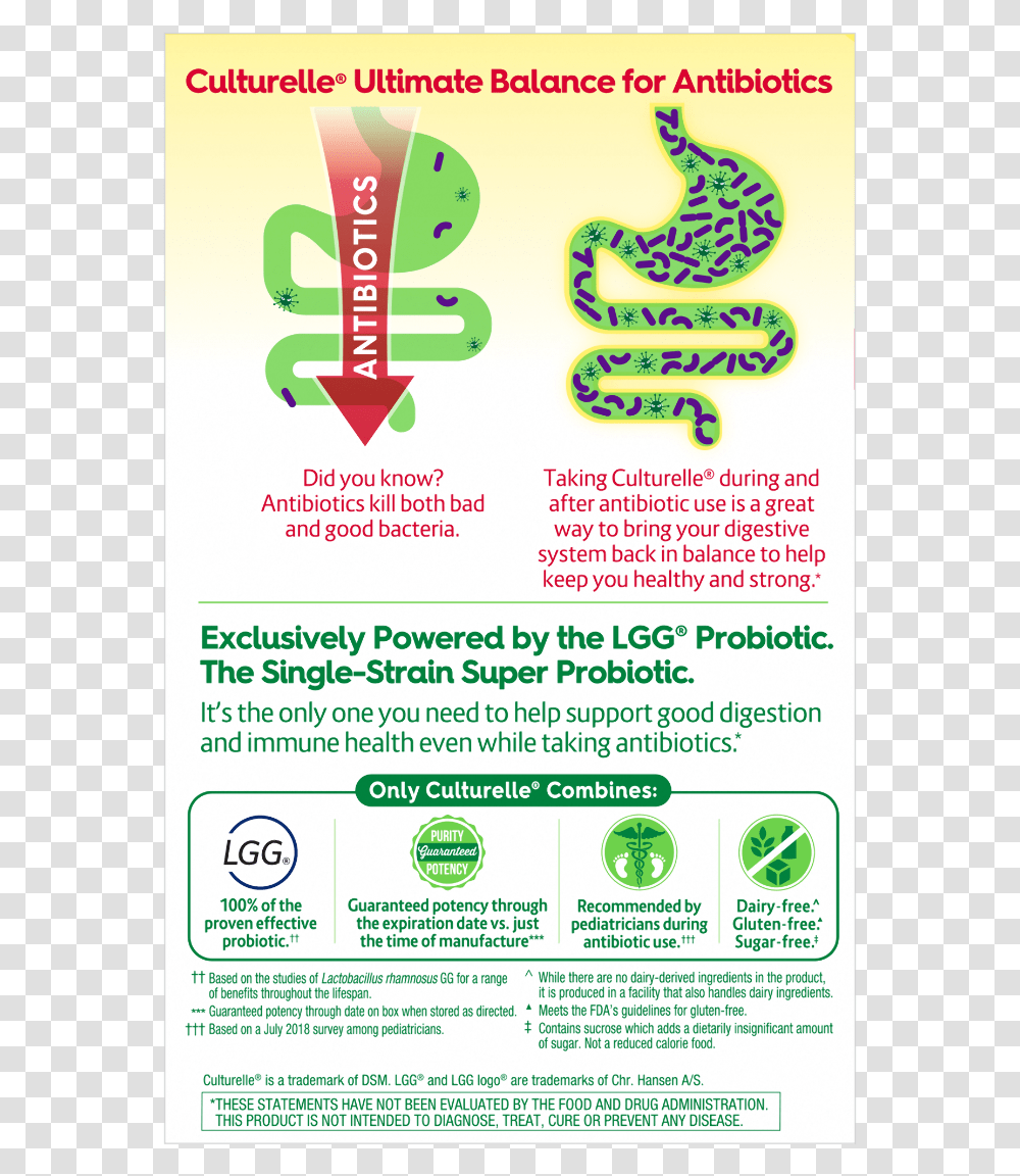 Flyer, Advertisement, Poster, Paper, Brochure Transparent Png