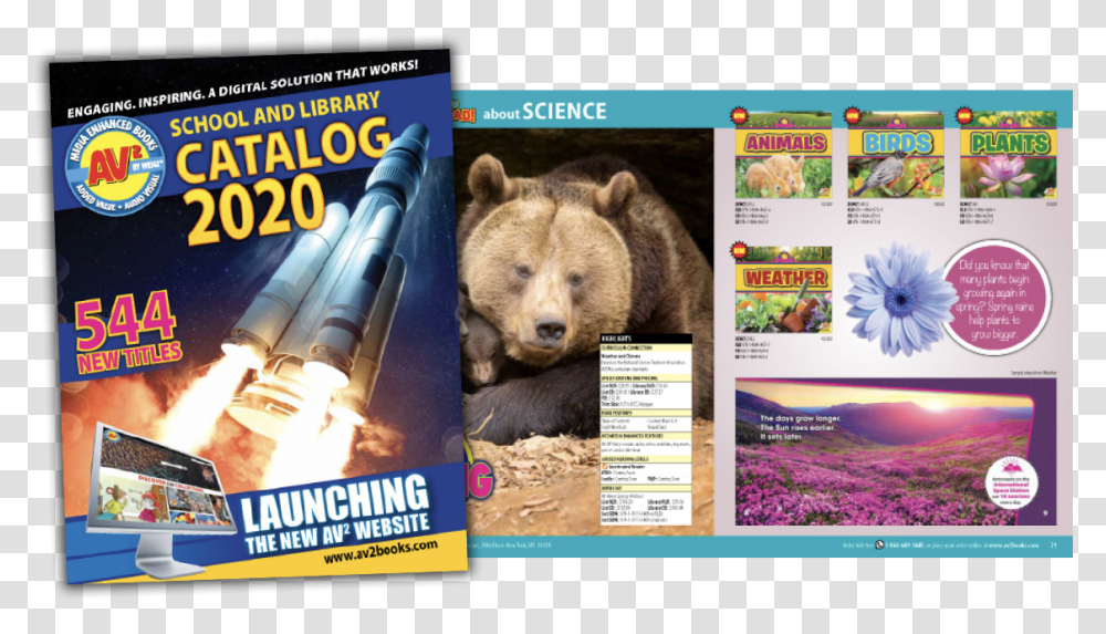 Flyer, Advertisement, Poster, Paper, Brochure Transparent Png