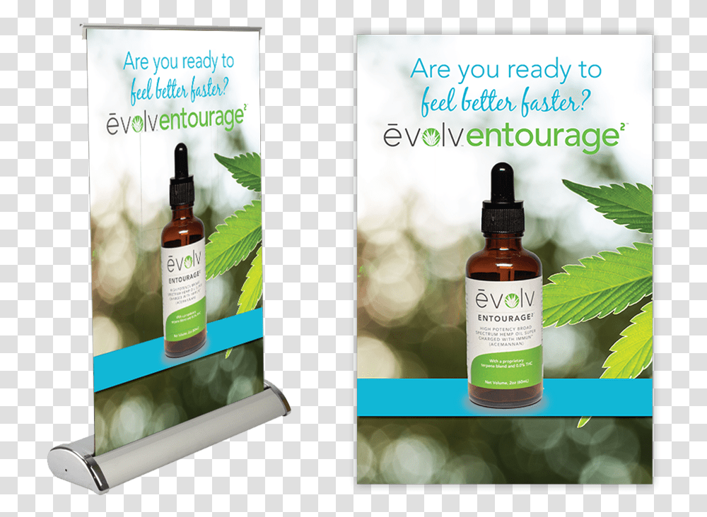 Flyer, Bottle, Beer, Lotion, Plant Transparent Png