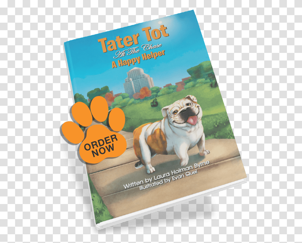 Flyer, Dog, Pet, Canine, Animal Transparent Png