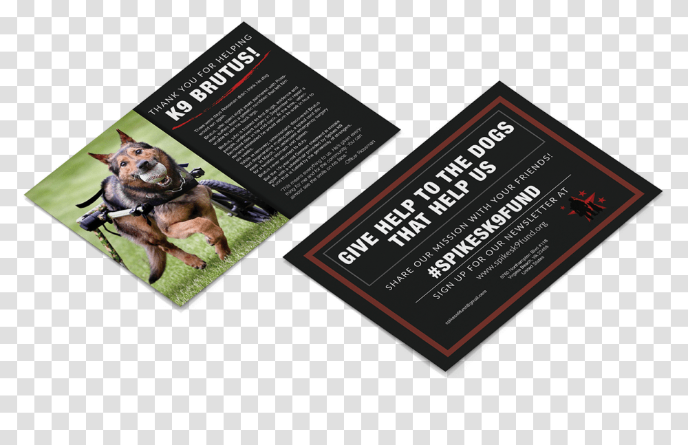 Flyer, Paper, Dog, Pet, Canine Transparent Png