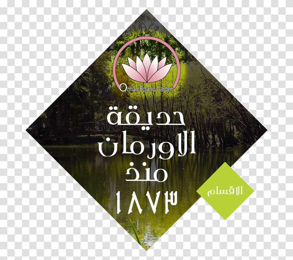 Flyer, Poster, Advertisement, Paper, Brochure Transparent Png