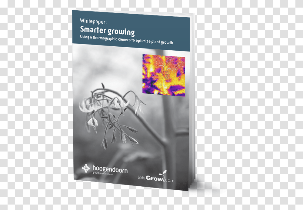 Flyer, Poster, Advertisement, Paper, Brochure Transparent Png