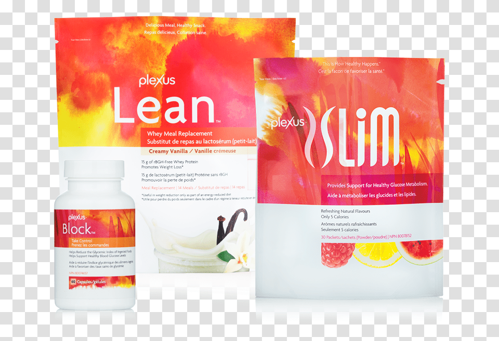 Flyer, Poster, Advertisement, Paper, Brochure Transparent Png