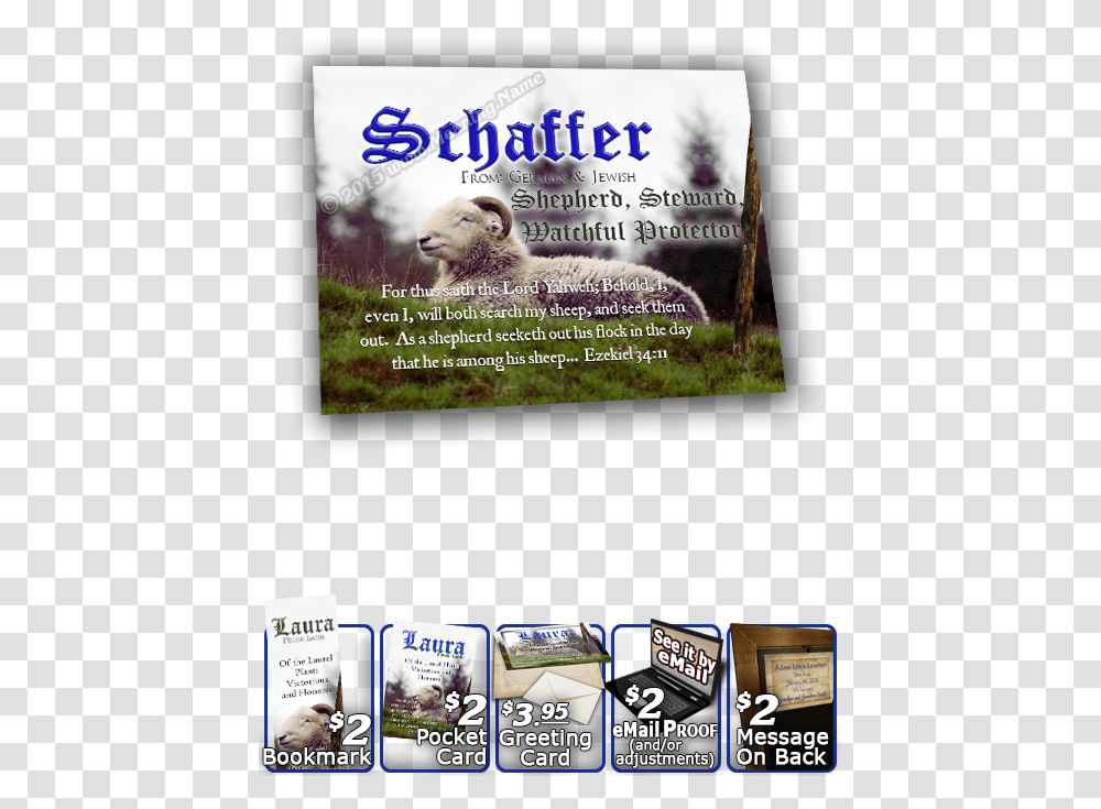 Flyer, Poster, Advertisement, Paper, Brochure Transparent Png