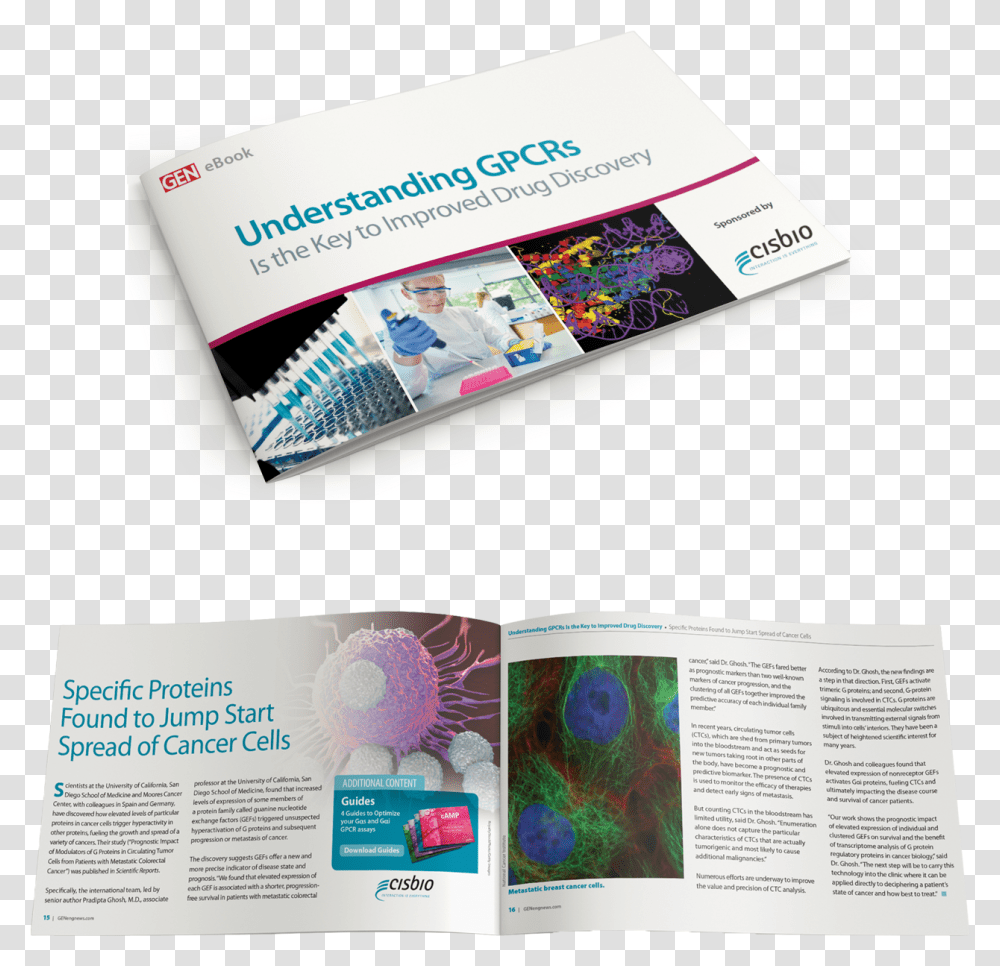 Flyer, Poster, Advertisement, Paper, Brochure Transparent Png