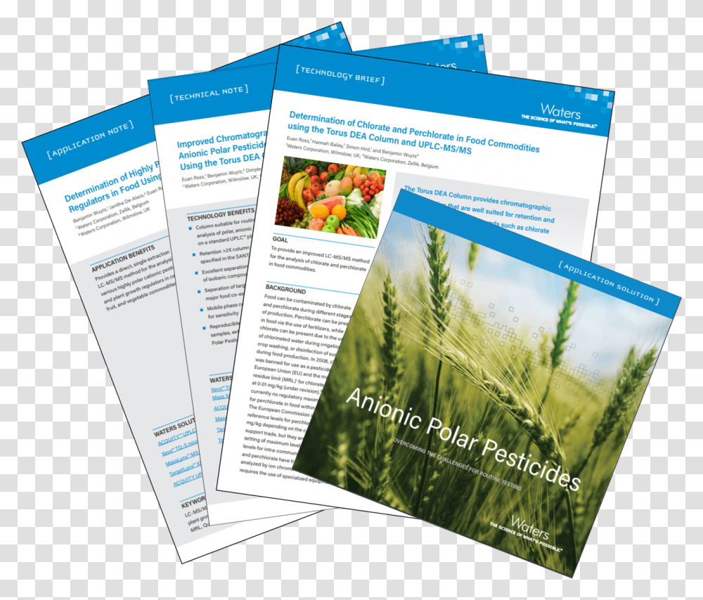 Flyer, Poster, Paper, Advertisement, Brochure Transparent Png