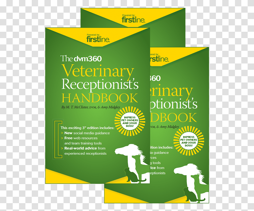 Flyer, Poster, Paper, Advertisement, Brochure Transparent Png