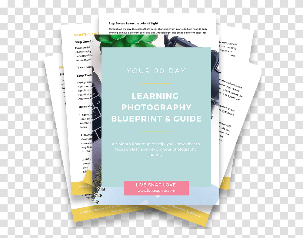 Flyer, Poster, Paper, Advertisement, Brochure Transparent Png