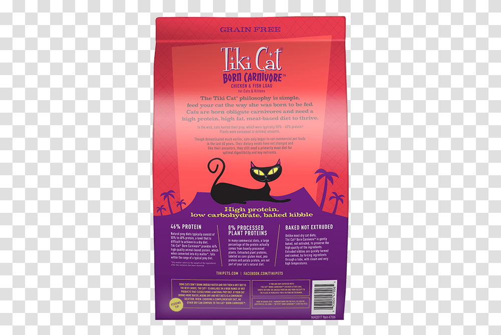 Flyer, Poster, Paper, Advertisement, Brochure Transparent Png