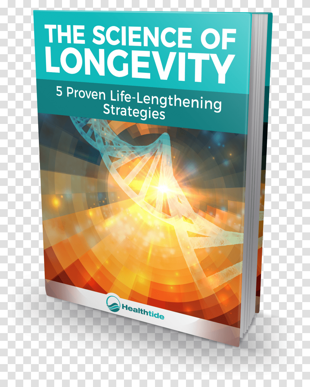 Flyer, Poster, Paper, Advertisement, Brochure Transparent Png