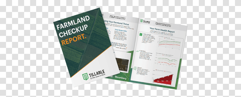 Flyer, Poster, Paper, Advertisement, Brochure Transparent Png
