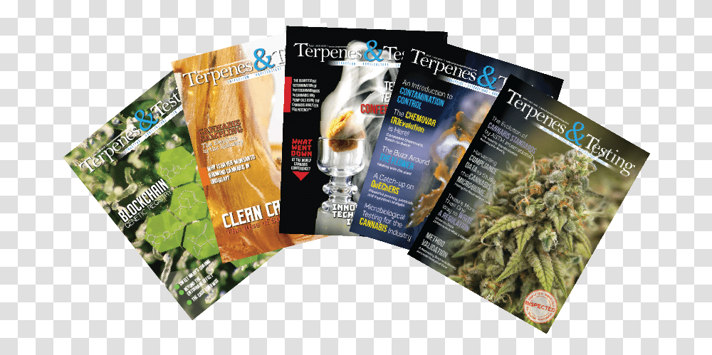 Flyer, Poster, Paper, Advertisement, Brochure Transparent Png