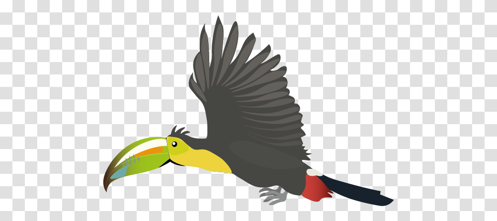 Flying Animation Toucan, Bird, Animal, Beak, Vulture Transparent Png
