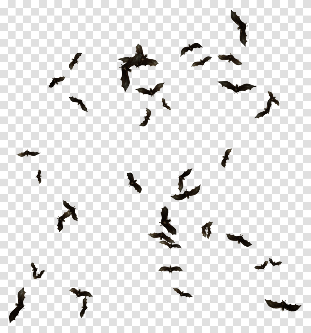 Flying Bats, Flock, Animal, Bird, Honey Bee Transparent Png