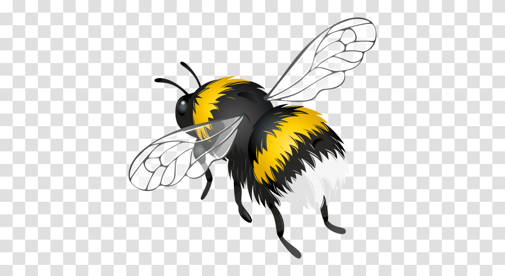 Flying Bee Clipart, Apidae, Insect, Invertebrate, Animal Transparent Png