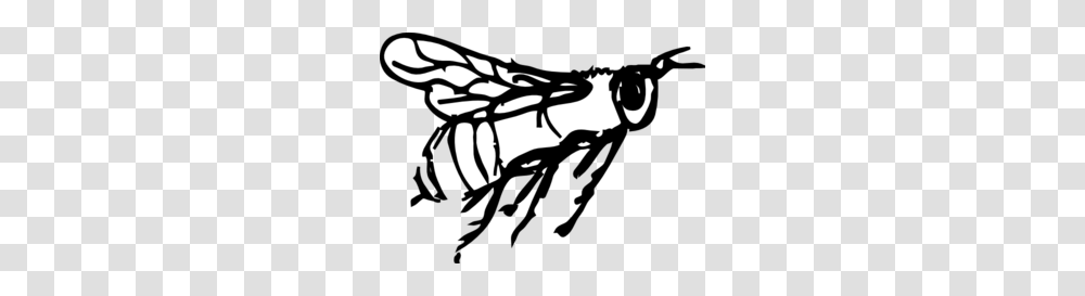 Flying Bee Drawing Clip Art, Wasp, Insect, Invertebrate, Animal Transparent Png