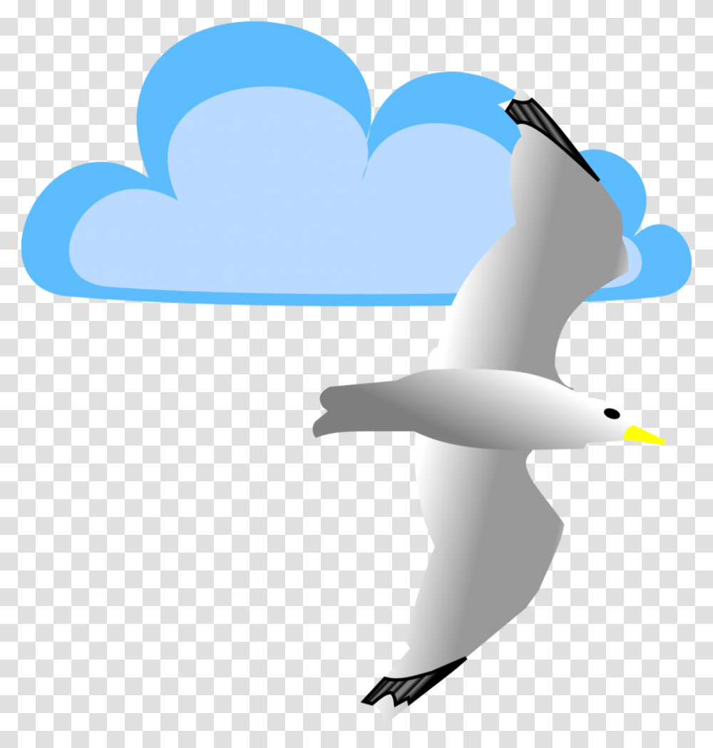 Flying, Bird, Animal, Albatross Transparent Png
