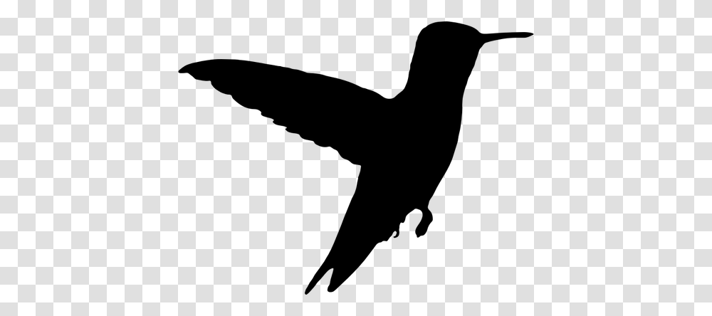 Flying Bird Clip Art Free, Gray, World Of Warcraft Transparent Png