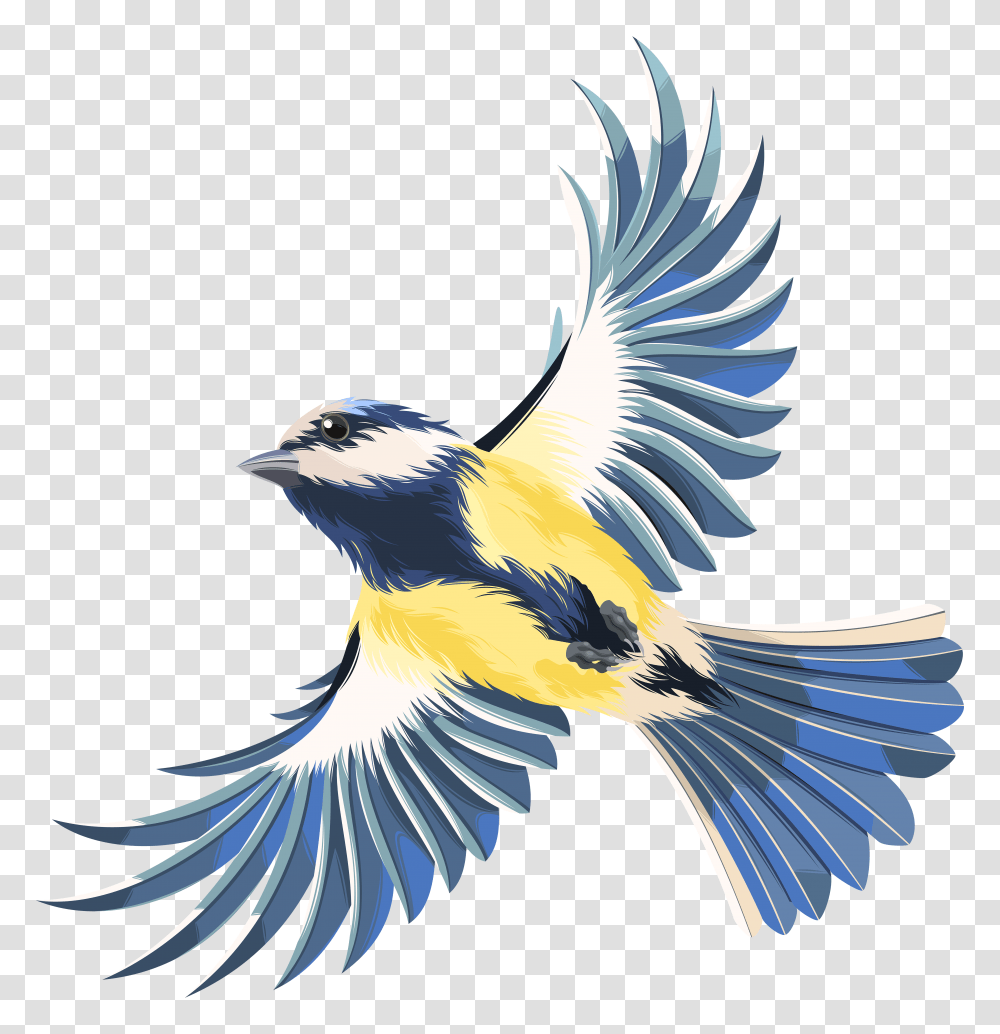 Flying Bird Clip Art Transparent Png