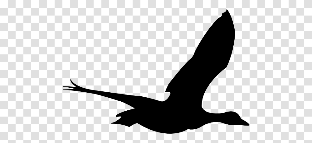 Flying Bird Clip Arts Download, Silhouette, Animal, Sock, Stencil Transparent Png