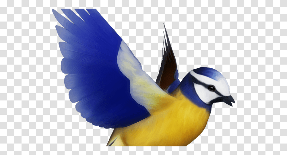 Flying Bird Clipart Bird, Animal, Jay, Bluebird, Blue Jay Transparent Png