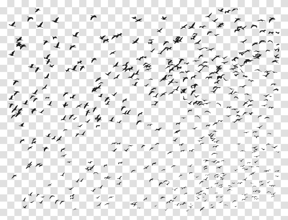 Flying Bird Clipart Black And White, Gray, World Of Warcraft Transparent Png