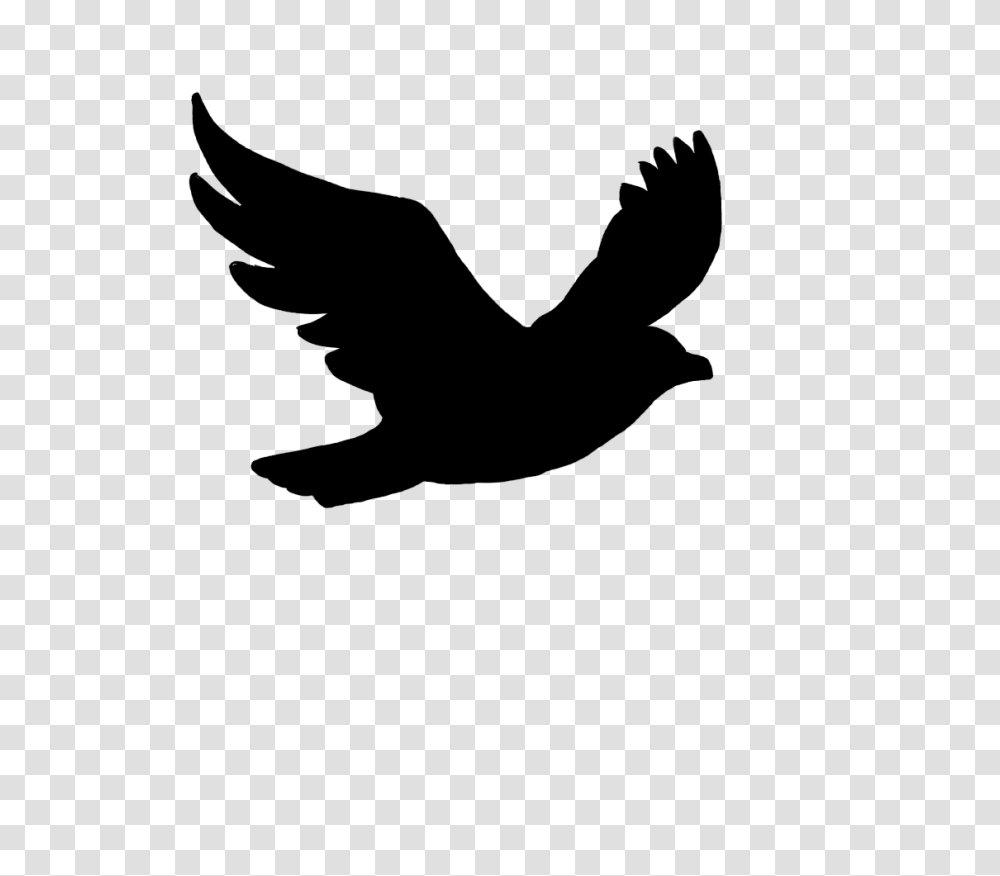 Flying Bird Clipart, Stencil, Person, Human Transparent Png