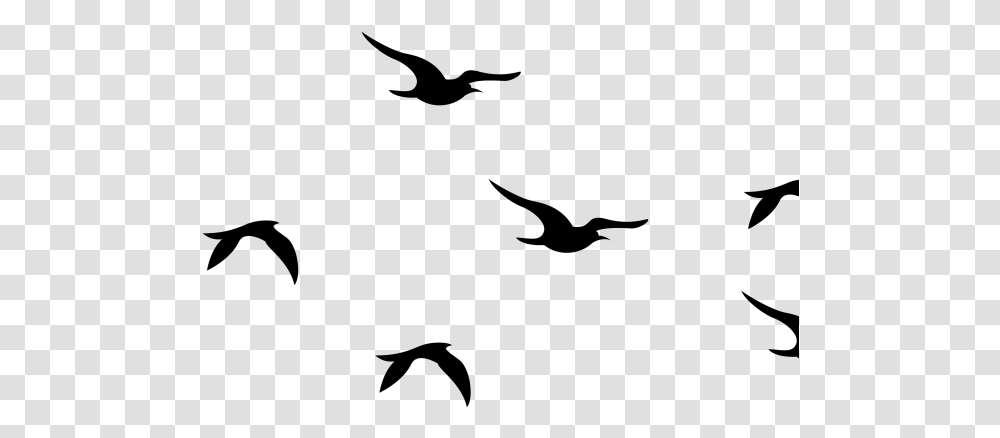 Flying Bird Graphic Birds Flying Silhouette Svg, Gray, World Of Warcraft, Outdoors, Halo Transparent Png