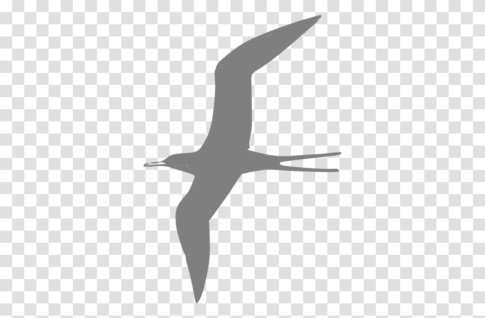 Flying Bird Grey Clip Arts For Web Clip Arts Free, Silhouette, Animal, Stencil, Reptile Transparent Png