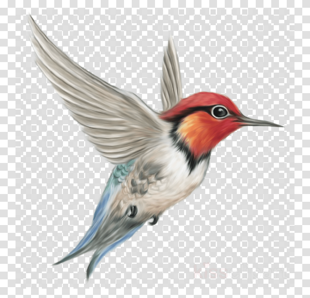 Flying Bird Hd, Animal, Finch, Hummingbird Transparent Png