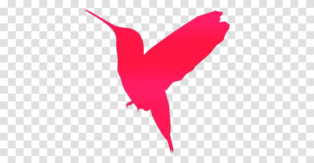 Flying Bird Image Flying Kingfisher Silhouette, Hummingbird, Animal, Arm, Person Transparent Png