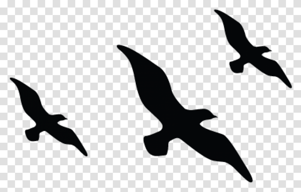 Flying Bird Silhouette, Animal, Person, Nature, Outdoors Transparent Png