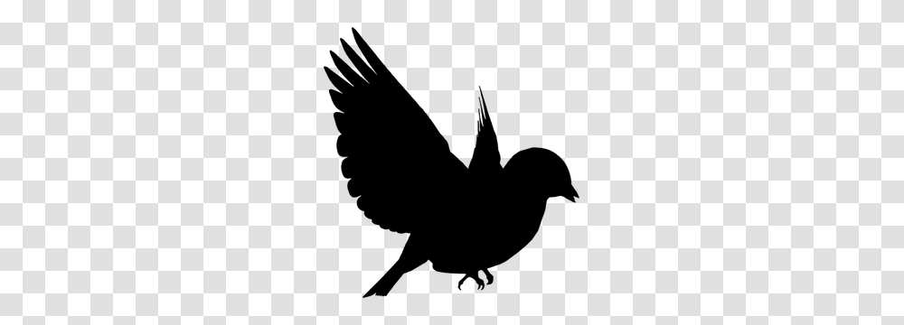 Flying Bird Silhouette Clip Art Free, Gray, World Of Warcraft Transparent Png