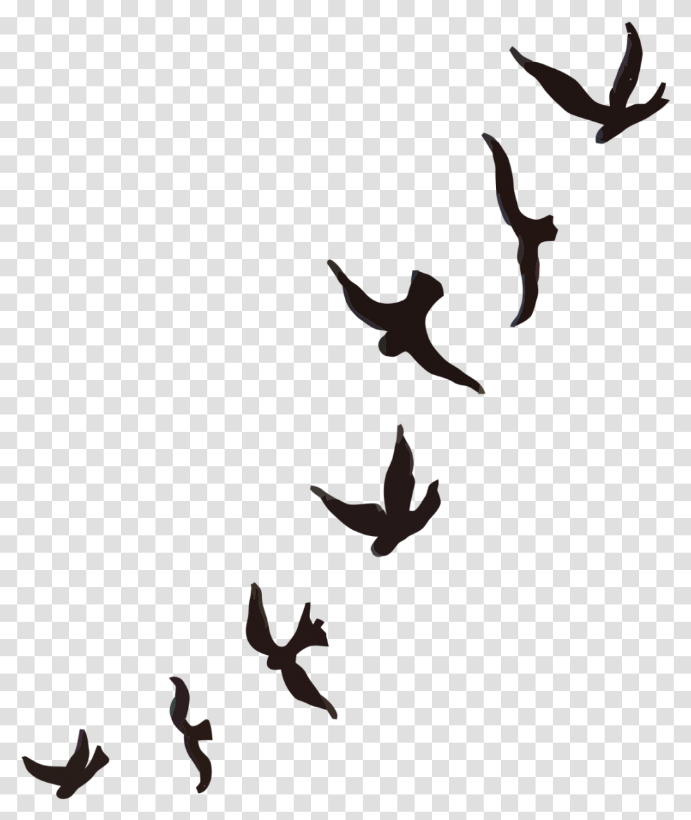 Flying Bird Silhouette Tattoo Passaros, Animal, Kite Bird, Eagle, Vulture Transparent Png