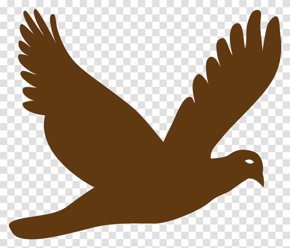 Flying Bird Vector Silhouette Flying Bird, Animal, Mammal, Wildlife, Rodent Transparent Png