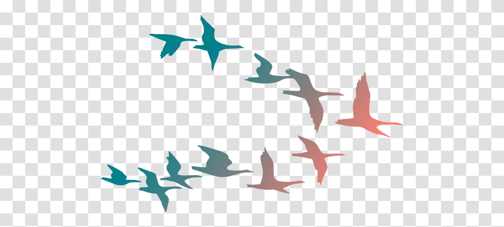 Flying Birds Clipart, Animal, Flock, Silhouette, Seagull Transparent Png