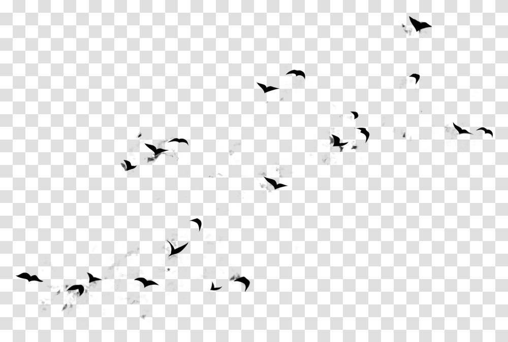 Flying Birds Design Large Flock, Gray, World Of Warcraft Transparent Png