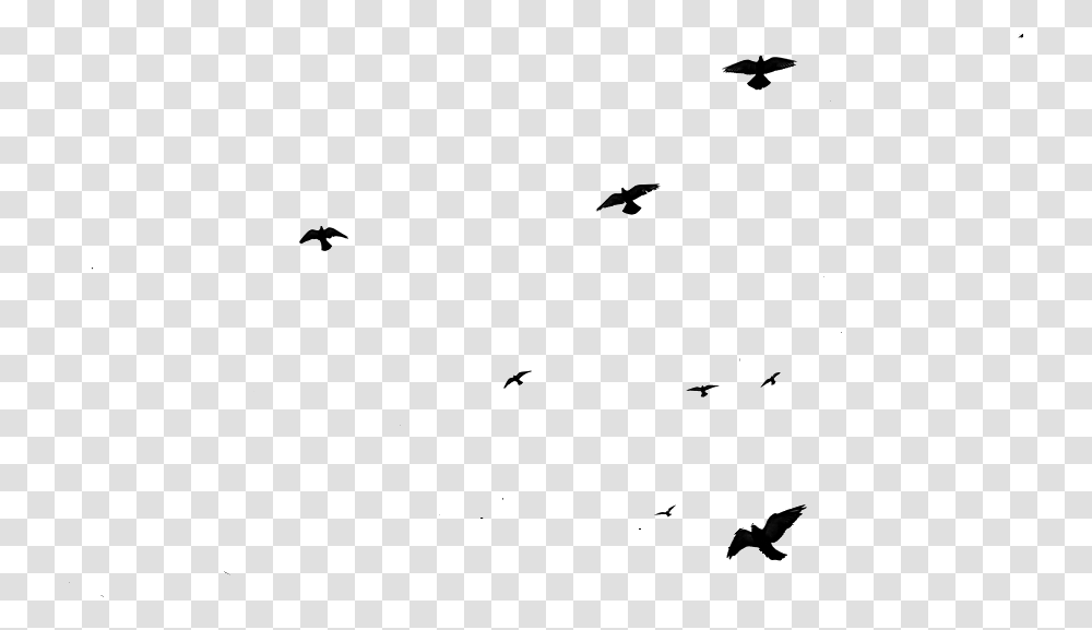 Flying Birds Gif Download Birds Flying Gif, Outdoors, Nature, Astronomy, Outer Space Transparent Png