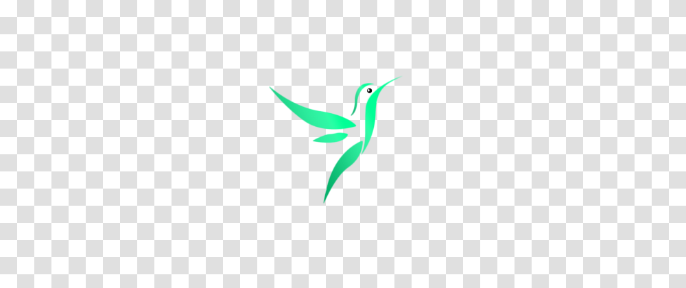 Flying Birds Images Vectors And Free Download, Animal, Bee Eater, Hummingbird, Beak Transparent Png