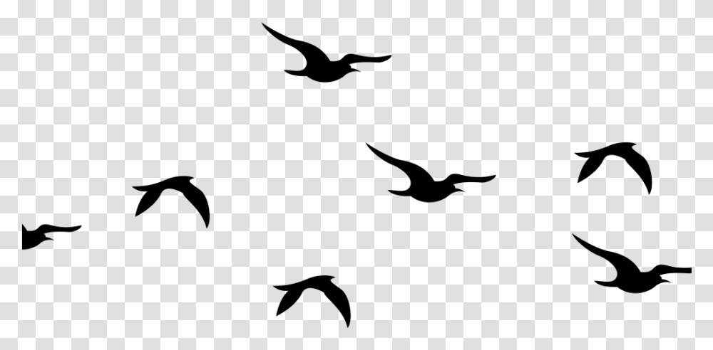 Flying Birds Silhouette Clipart Download Flying Silhouette Bird Clipart, Gray, World Of Warcraft Transparent Png