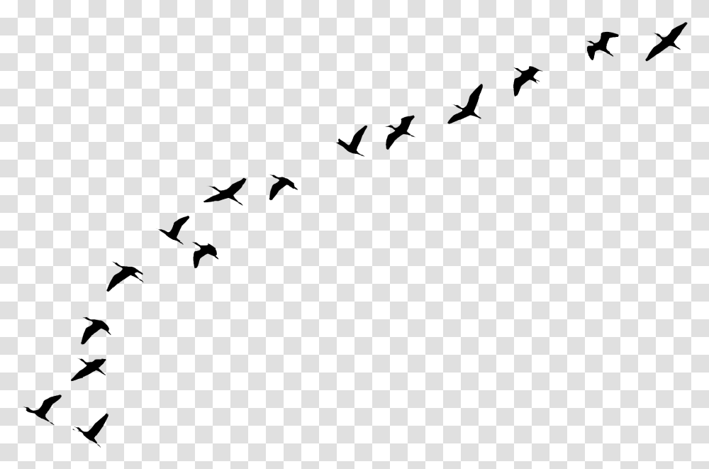 Flying Birds Tattoo Portable Network Graphics, Gray, World Of Warcraft Transparent Png