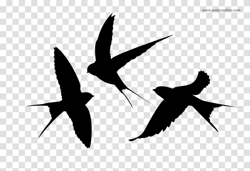 Flying Birds Vector, Gray, World Of Warcraft Transparent Png