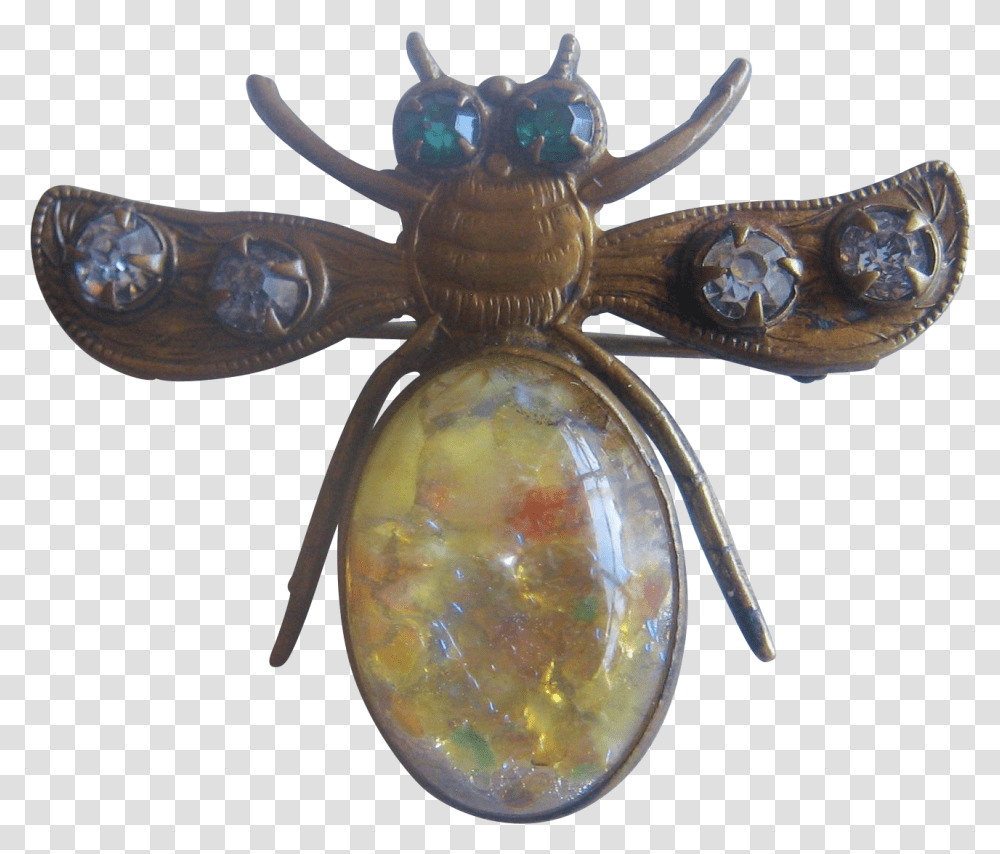 Flying Bug Amber, Ornament, Accessories, Accessory, Jewelry Transparent Png