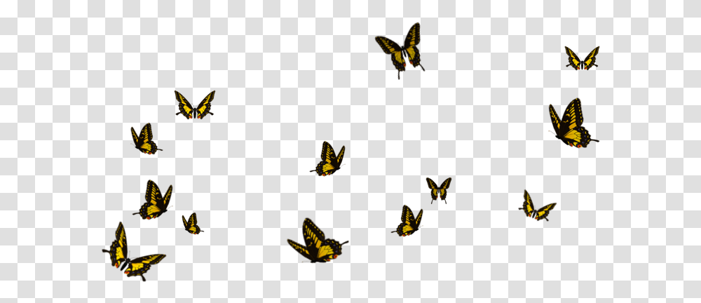 Flying Butterflies Background, Animal, Insect, Invertebrate, Honey Bee Transparent Png