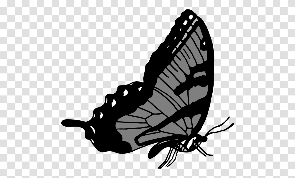 Flying Butterflies Papilio Machaon, Animal, Guitar, Leisure Activities, Musical Instrument Transparent Png