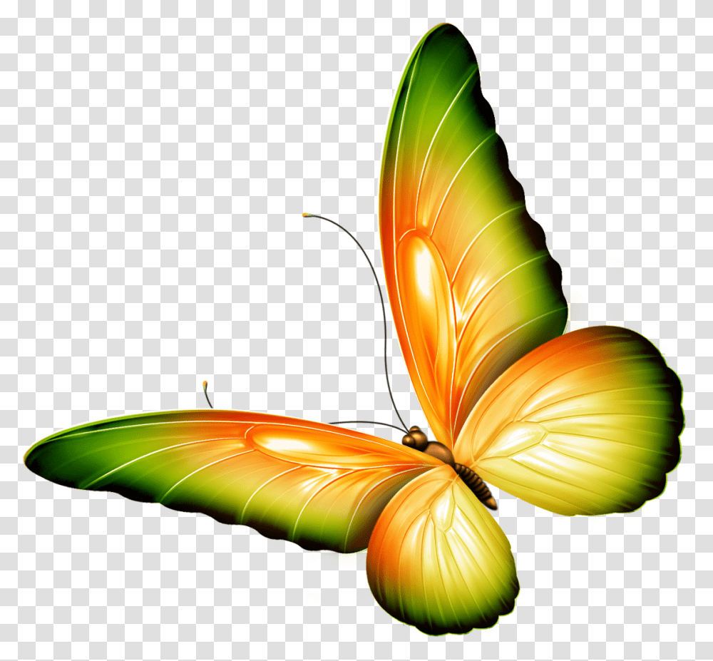 Flying Butterfly Clipart Clip Art Butterflies, Petal, Flower, Plant, Lamp Transparent Png