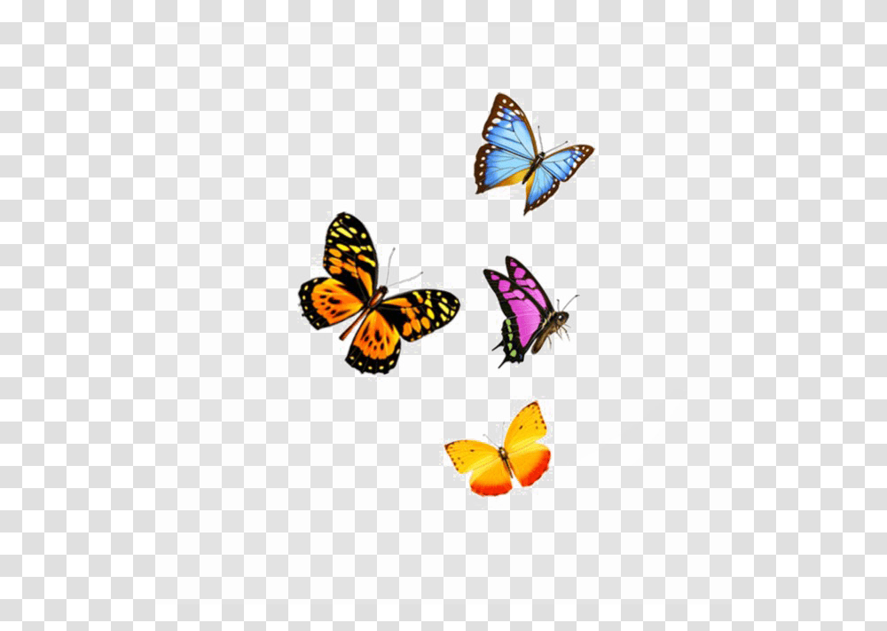 Flying Butterfly Image Background Arts, Honey Bee, Insect, Invertebrate, Animal Transparent Png