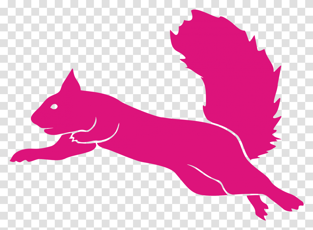 Flying Cat Flying Squirrel Squirrel Logo, Animal, Gecko, Lizard, Reptile Transparent Png